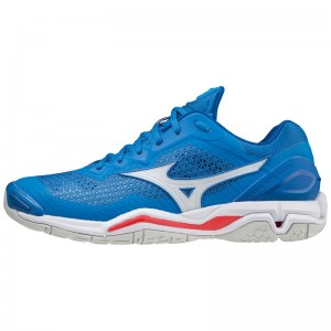 Chaussure Handball Mizuno Wave Stealth V Femme Bleu | France M1042KG