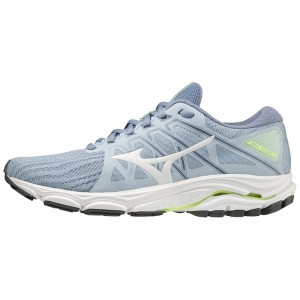 Chaussure Running Mizuno Wave Equate 6 Femme Bleu | France M4165MS