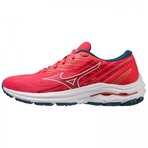 Chaussure Running Mizuno Wave Equate 7 Femme Rose Blanche Bleu | France M2167TE