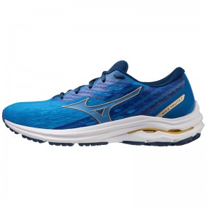 Chaussure Running Mizuno Wave Equate 7 Homme Bleu Doré Doré | France M8763IF