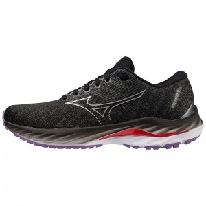 Chaussure Running Mizuno Wave Inspire 19 Femme Noir Argent | France M6078LO