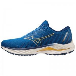 Chaussure Running Mizuno Wave Inspire 19 Homme Bleu Bleu | France M4015RA