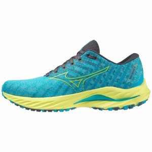 Chaussure Running Mizuno Wave Inspire 19 Homme Bleu | France M7132OP