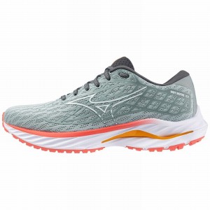 Chaussure Running Mizuno Wave Inspire 20 Femme Grise Blanche | France M2567PO