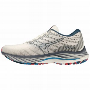 Chaussure Running Mizuno Wave Rider 26 Femme Argent | France M0531ZC