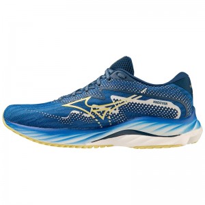 Chaussure Running Mizuno Wave Rider 27 Amsterdam Homme Bleu Marine | France M3205KD