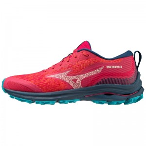 Chaussure Running Mizuno Wave Rider GTX Femme Bleu Bleu | France M5793EK