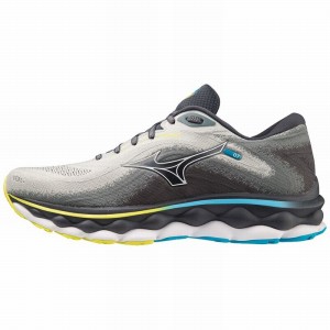 Chaussure Running Mizuno Wave Sky 7 Homme Bleu Blanche | France M0439VO