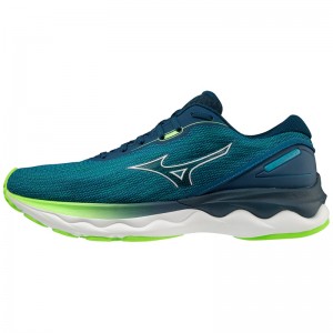 Chaussure Running Mizuno Wave Skyrise 3 Homme Bleu | France M2756LY