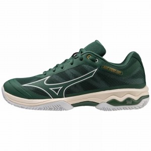 Chaussure Tennis Mizuno Wave Exceed Light CC Homme Blanche | France M9034QJ