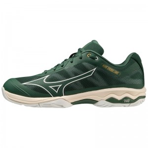 Chaussure Tennis Mizuno Wave Exceed Light AC Homme Blanche | France M6310VP