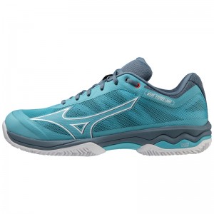 Chaussure Tennis Mizuno Wave Exceed Light CC Homme Bleu Blanche Bleu | France M1689VB