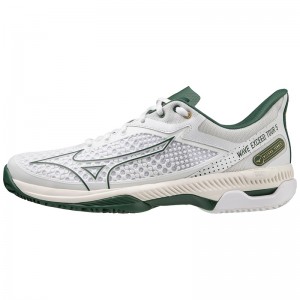 Chaussure Tennis Mizuno Wave Exceed Tour 5 CC Homme Blanche | France M8745VS