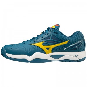 Chaussure Tennis Mizuno Wave Intense Tour 5 AC Homme Bleu | France M9025BS