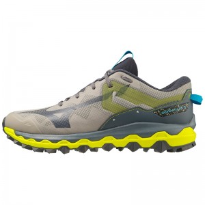 Chaussure Trail Running Mizuno Wave Mujin 9 Homme Grise Bleu | France M9256NK