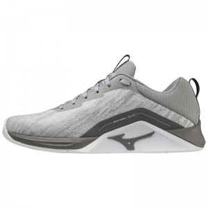 Chaussure Training Mizuno Ts-01 Femme Grise Blanche | France M7910TO