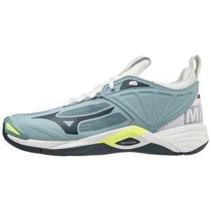 Chaussure Volley Mizuno Wave Momentum 2 Homme Bleu Blanche | France M7608AM