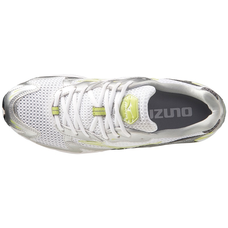 Basket Mizuno Wave Rider 10 Homme Blanche Argent | France M7546FZ