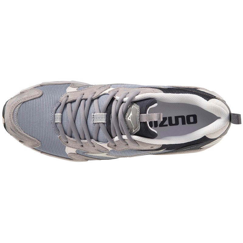 Basket Mizuno Wave Rider 10 Premium Femme Blanche | France M0963HB