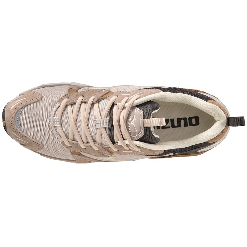 Basket Mizuno Wave Rider 10 Premium Femme Argent Blanche | France M6890HS