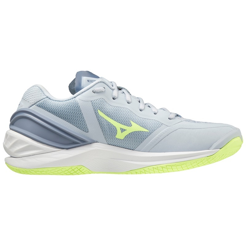 Chaussure Handball Mizuno Wave Stealth Neo Femme Grise | France M3790LO