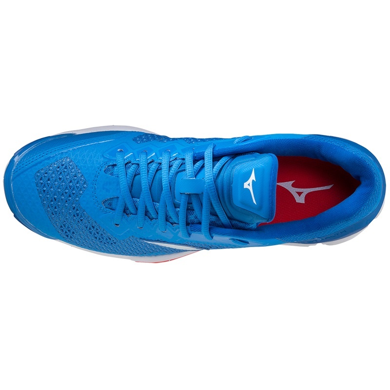 Chaussure Handball Mizuno Wave Stealth V Femme Bleu | France M1042KG