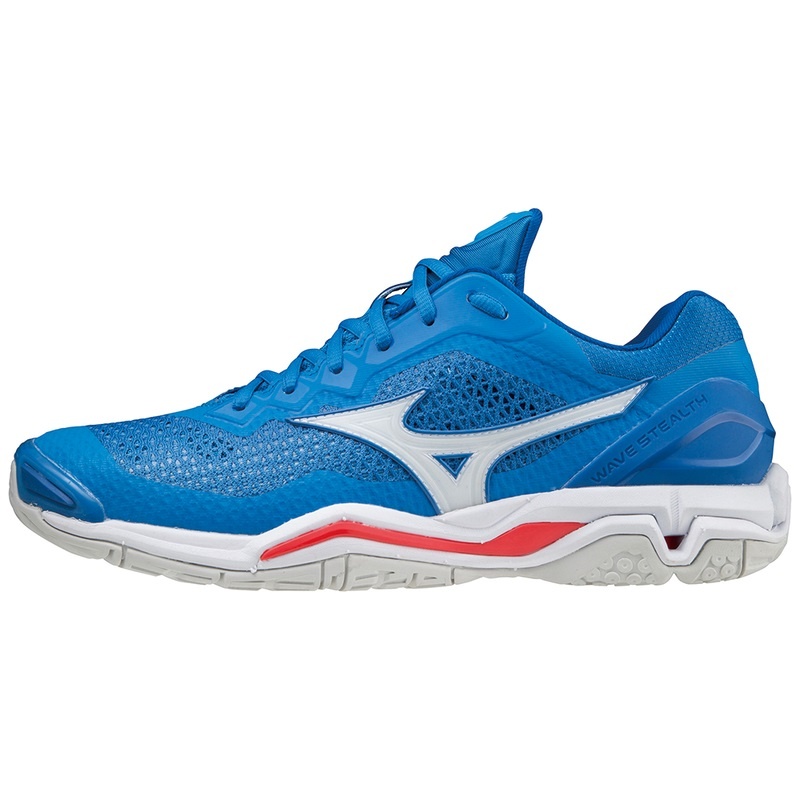 Chaussure Handball Mizuno Wave Stealth V Femme Bleu | France M1042KG