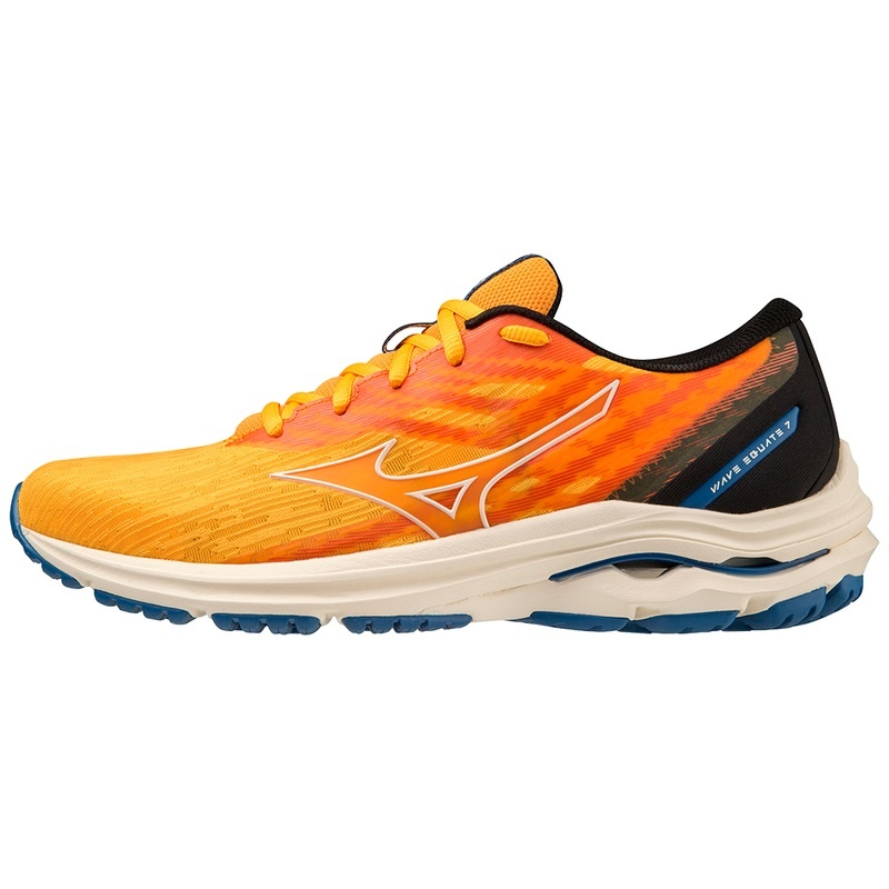 Chaussure Running Mizuno Wave Equate 7 Homme Bleu | France M7594TN