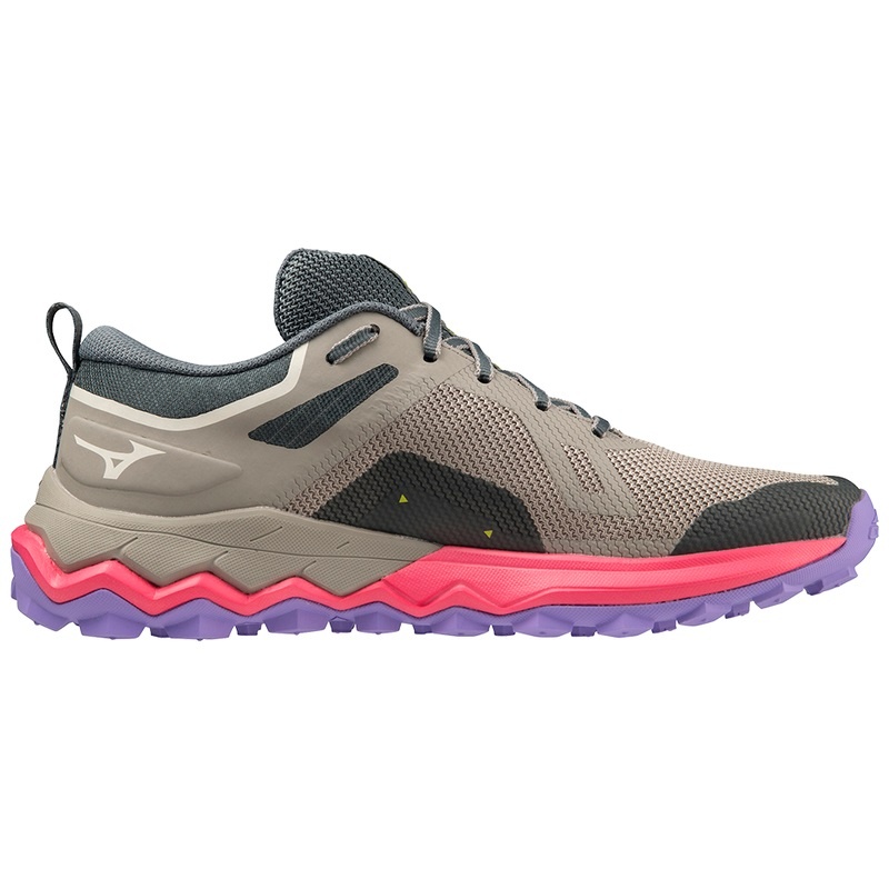 Chaussure Running Mizuno Wave Ibuki 4 Femme Grise | France M2389ZQ