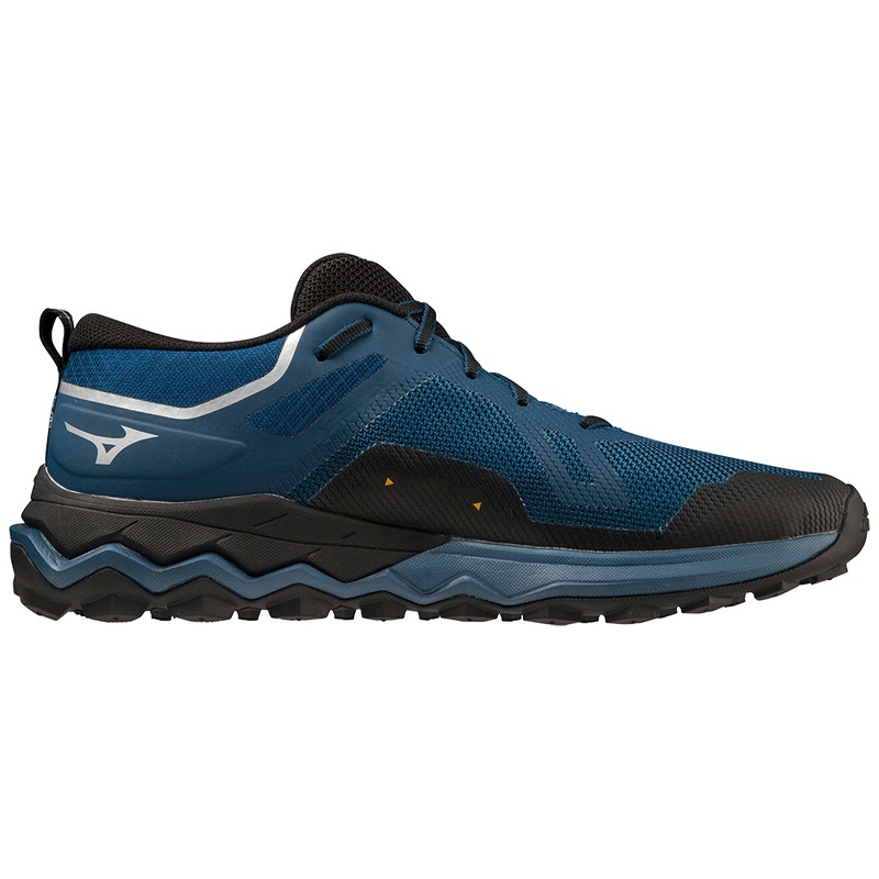 Chaussure Running Mizuno Wave Ibuki 4 GTX Homme Noir | France M6971BC