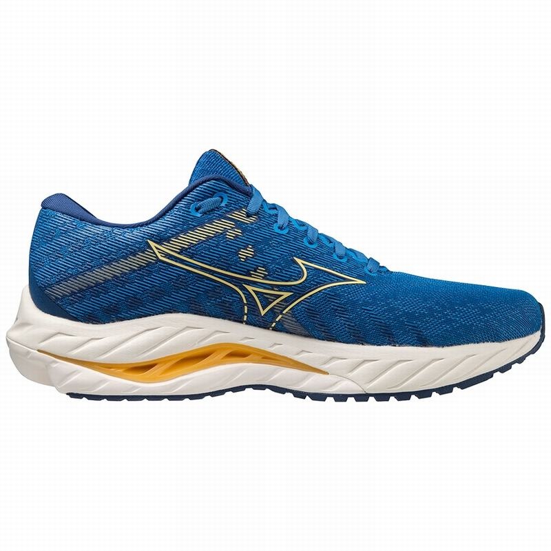 Chaussure Running Mizuno Wave Inspire 19 Homme Bleu Bleu | France M4015RA