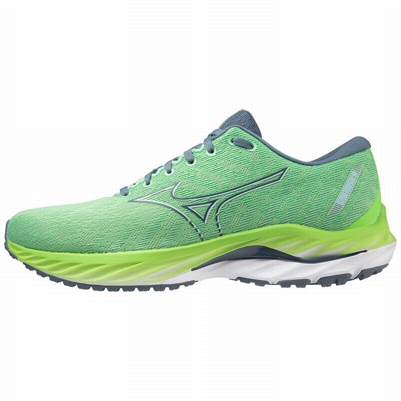 Chaussure Running Mizuno Wave Inspire 19 Homme Bleu Vert | France M7043OB