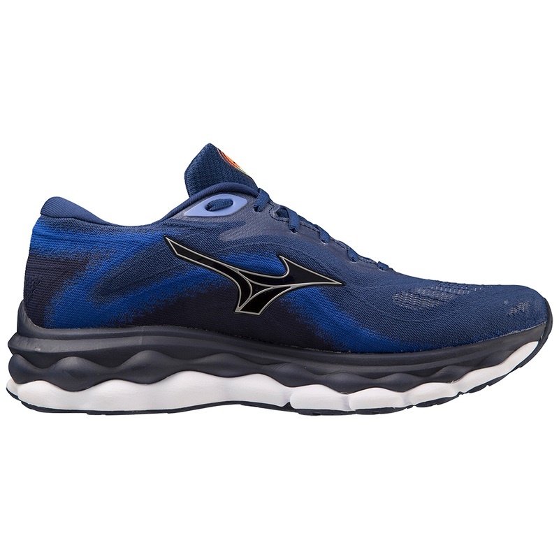 Chaussure Running Mizuno Wave Sky 7 Homme Argent | France M0843VJ