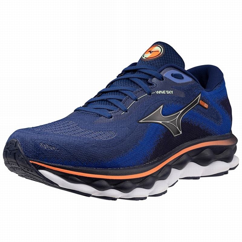 Chaussure Running Mizuno Wave Sky 7 Homme Argent | France M0843VJ