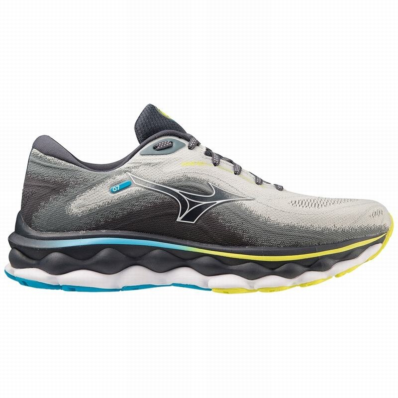 Chaussure Running Mizuno Wave Sky 7 Homme Bleu Blanche | France M0439VO