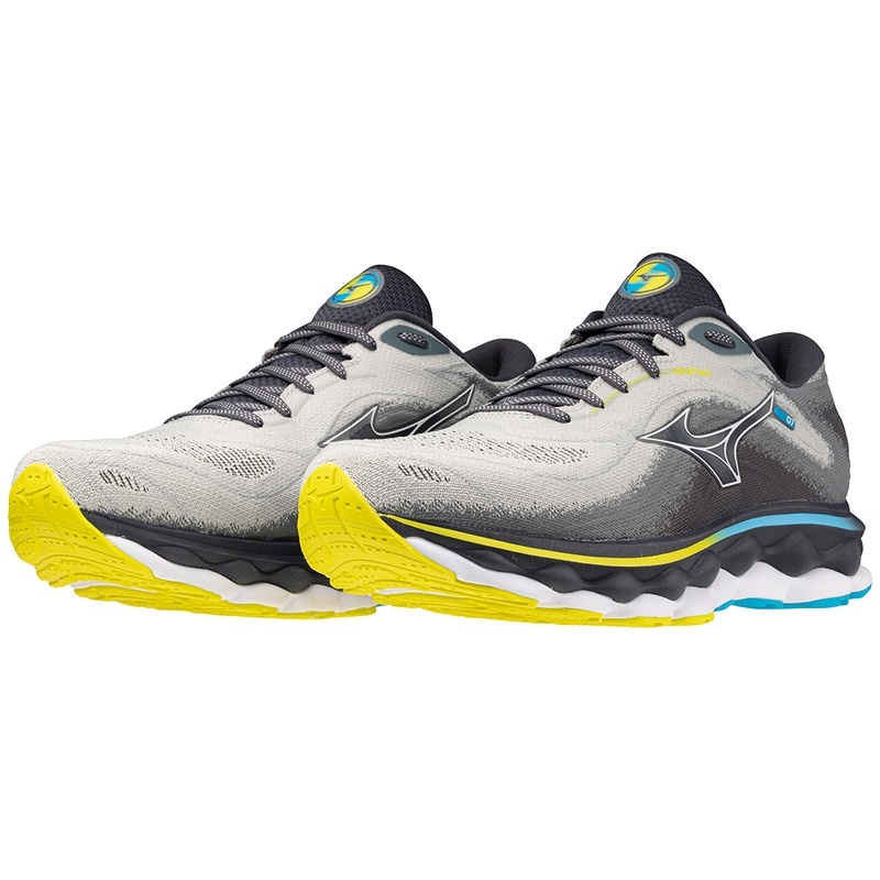 Chaussure Running Mizuno Wave Sky 7 Homme Bleu Blanche | France M0439VO