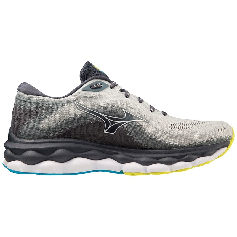 Chaussure Running Mizuno Wave Sky 7 Homme Bleu Blanche | France M0439VO