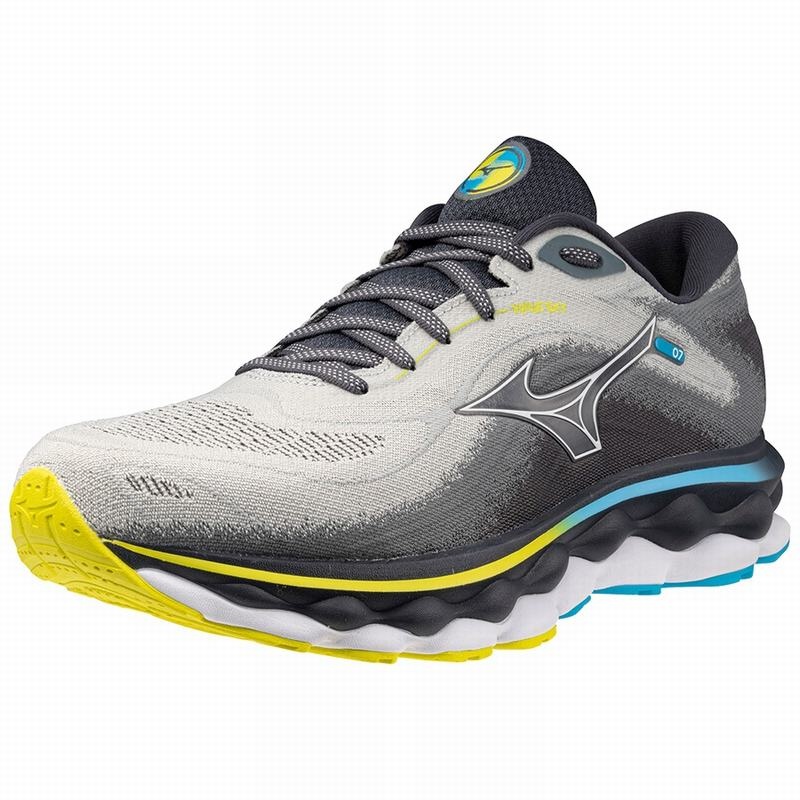 Chaussure Running Mizuno Wave Sky 7 Homme Bleu Blanche | France M0439VO