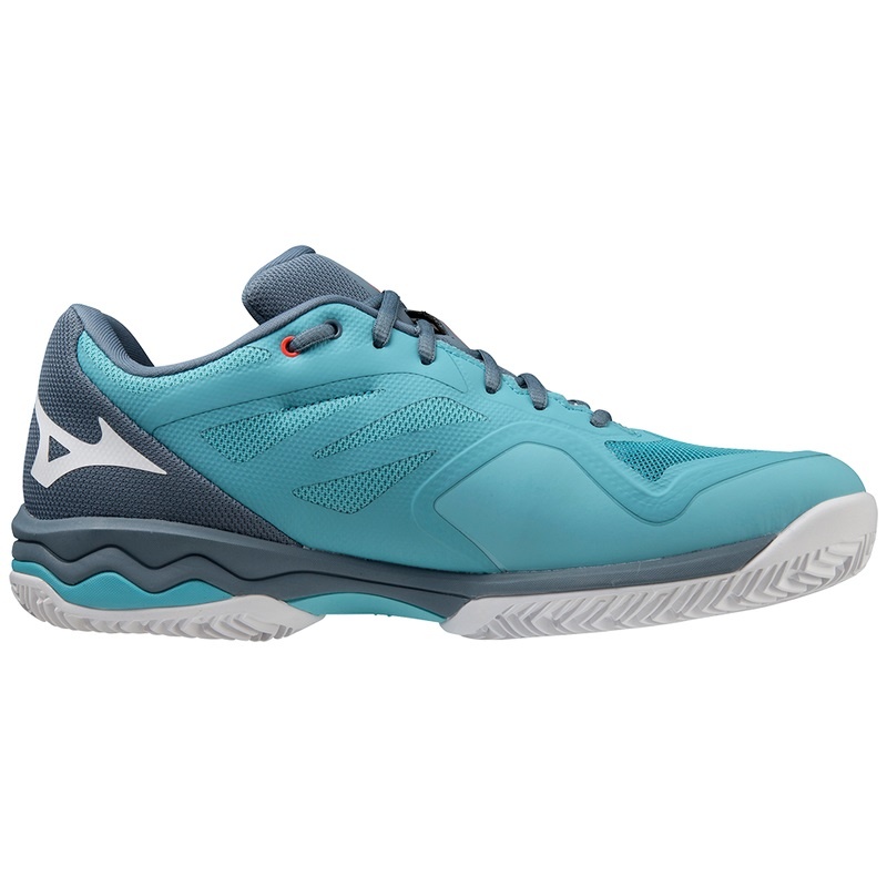 Chaussure Tennis Mizuno Wave Exceed Light CC Homme Bleu Blanche Bleu | France M1689VB