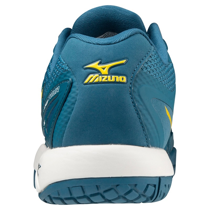 Chaussure Tennis Mizuno Wave Intense Tour 5 AC Homme Bleu | France M9025BS