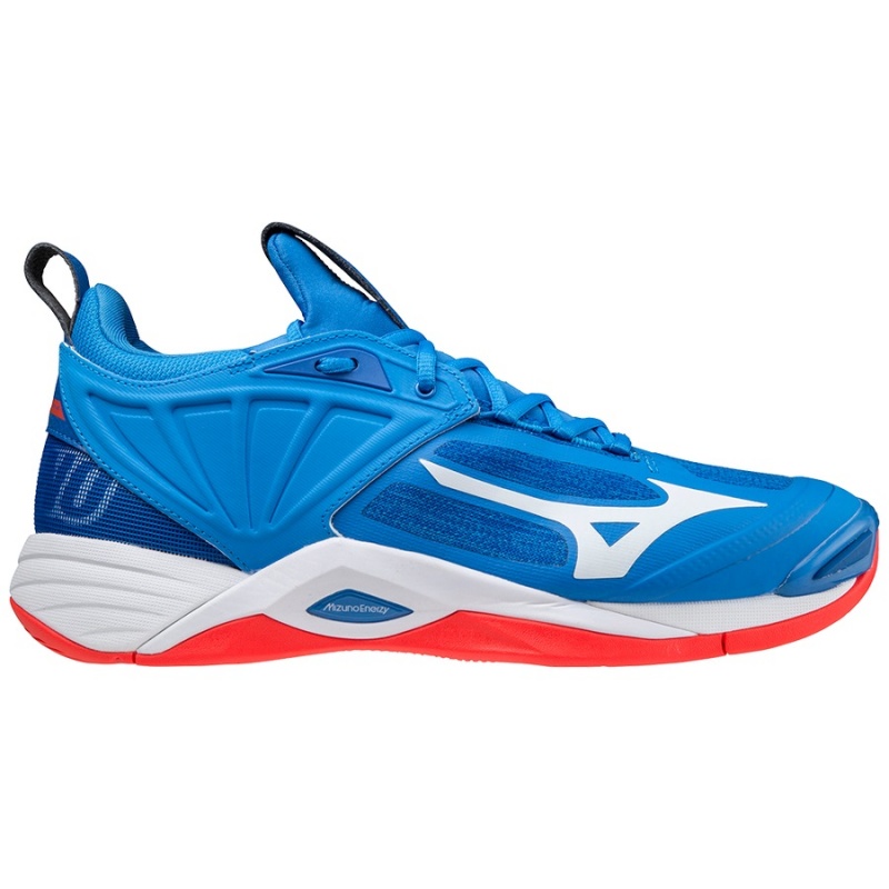 Chaussure Volley Mizuno Wave Momentum 2 Homme Bleu | France M0847TR