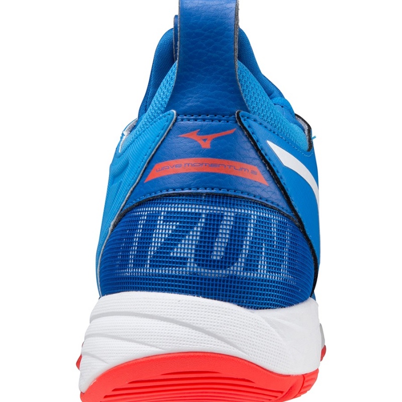 Chaussure Volley Mizuno Wave Momentum 2 Homme Bleu | France M0847TR