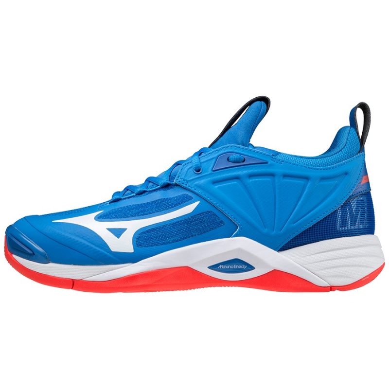 Chaussure Volley Mizuno Wave Momentum 2 Homme Bleu | France M0847TR